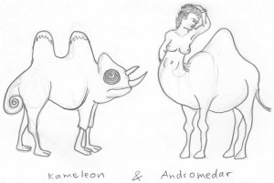 Kameleon & Andromedar